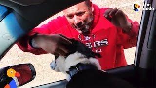 Man LOSES IT After Reunited With Lost Dog | The Dodo