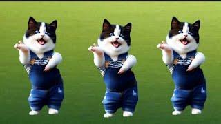 Funny Cat Viral Dancing Videos #viralvideos #Catlovers #funnycat @furry-cornerz