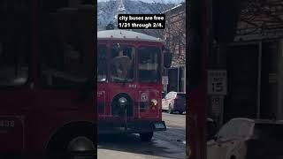 Snowdown 2024 - Merry Transit