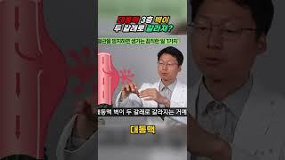 대동맥 3층 벽이 두 갈래로 갈라져?