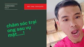 chăm sóc đàn ong sau khi hết vụ mật