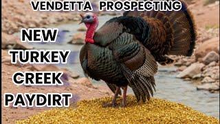 VENDETTA PROSPECTING GOLD PAYDIRT REVIEW S4ep#184  TURKEY CREEK 100% ROI  @VendettaProspecting