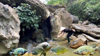 Country girl catches fish in the forest, takes care of the vegetable garden and cooks dinner