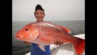 Deep Sea Fishing Big Fish Fishing for Red Snapper (Georgia)