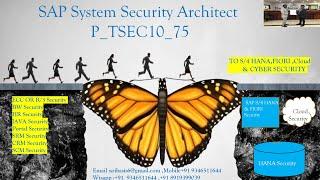 SAP System Security Architect - ECC || S4HANA || S/4HANA || FIORI || Cloud ||Cyber Security-Overview