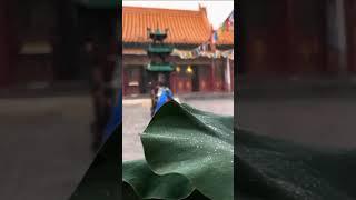 Hohhot Dazhao Temple, a good relationship.
