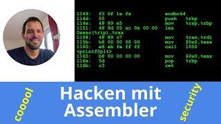 Jedes Programm hacken mit Assembler