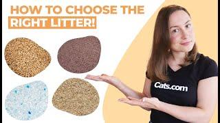 The BEST And WORST Types Of Cat Litters Explained