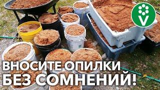 ДАЖЕ ТОНКИЙ СЛОЙ ОПИЛОК УЛУЧШАЕТ ПОЧВУ! Растениям понравится – убедитесь сами!