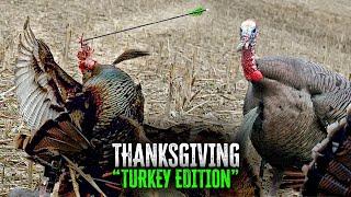 Turkey Bow Hunting Compilation | Thanksgiving Special | #thanksgiving #turkey #archery