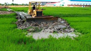 Wonderful Extreme Power Heavy Old Bulldozer Komatsu D53P Working Clean Mud by skiller operator