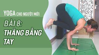 Yoga cho NGƯỜI MỚI - Bài 8: THĂNG BẰNG TAY, CON QUẠ | Yoga By Sophie