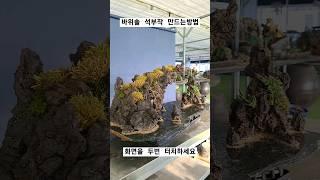 전북완주 김병선님 석부작 수강작품 #용설 #바위솔농원