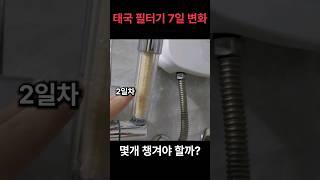 해외여행 필수품 샤워기 필터 7일간 변화(태국 치앙마이)