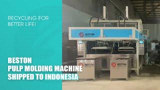 Global Case: Beston Pulp Molding Machine (Industrial Packaging Equipment) Shipped to Indonesia