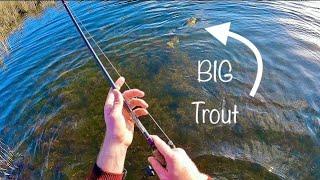 BIG Trout on Lures | Nories Laydown Minnow