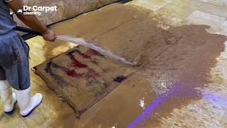 Astonishing Sewer Overflow Cleanup - Incredible Dirty Carpet Transformation - Satisfying ASMR Video