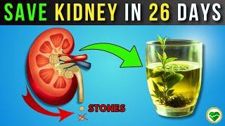 HEAL Your KIDNEY Health in 26 Days with HERBAL DRINKS | Number 3 Will Surprise You