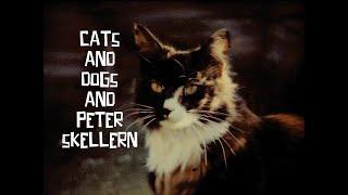 CATS AND DOGS ON CINE FILM. PETER SKELLERN