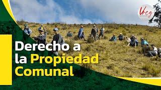 🟡🟢 Derecho a la Propiedad Comunal