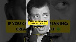  CREATE A MEANINGFUL LIFE YOURSELF by Neil deGrasse Tyson #life #meaning #purpose