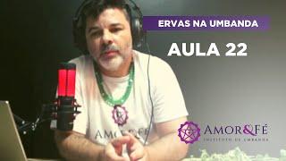 CURSO DE ERVAS NA UMBANDA | AULA 22  FINAL - POEJO