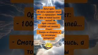 Анекдоты, которые смешат до слёз  Спасибо за  и подписку ️ #юмор