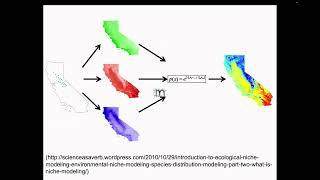 Introduction to species distribution modeling