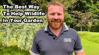 Do THIS To HELP WILDLIFE in YOUR GARDEN