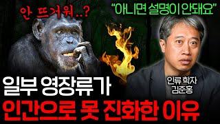 인류와 다른 영장류의 결정적인 차이를 만든 것은 뭘까? (퀀텀 점프..)