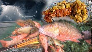 DEVASTATING WEATHER SPEARFISHING GIANT SNAPPER AND LOBSTER STER FRY LOBSTER OUTDOOR LOBSTER CC$COOK