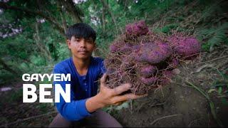 Real UBE(PURPLE YAM) from the forest | Cook ube halaya and purple sinigang [Gayyem Ben]