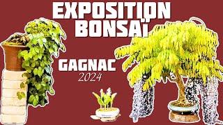 Gagnac exhibition organized by the Bonsaï Club Toulousain  NEJIKAN BONSAI 