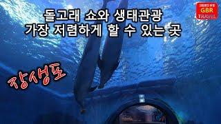 [울산 여행] 장생포 고래마을 (고래생태체험관)