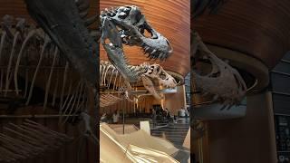 What is a MUSEUM | Types of Museums | Educational videos for kids #shorts #kidsshorts