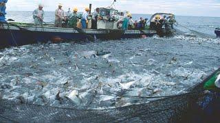 Amazng Trawl net fishing videos - Fishing Boat Catch a Lot of Fish