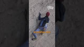 Should You Climb On Rest Days?