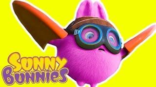 Cartoon   Sunny Bunnies - BRAVE PILOT  Funny Videos For Kids