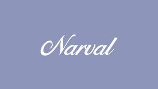 Promodesa NARVAL