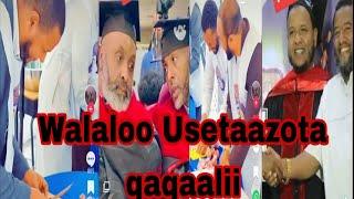 #walalloo #usetaazotaa #qaqaallii galattoomaa jedhuu #Toltu# tube#