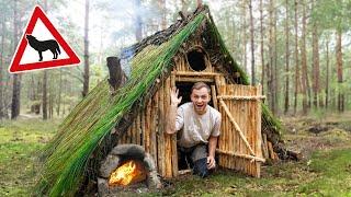 Wir bauen einen SURVIVAL SHELTER im WOLFSGEBIET