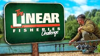 Day Ticket Carp Fishing Challenge With Tom Maker