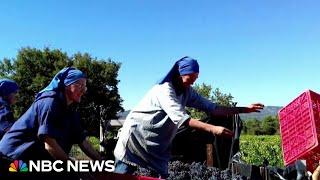 Catholic nuns run vineyard in France