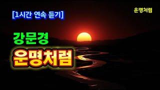  강문경 감성 폭발｜‘운명처럼’ 1시간 연속 듣기｜감성 트로트 끝판왕#강문경#운명처럼#1시간연속듣기#감성트로트#사랑노래#트로트명곡#강문경노래#트로트감성#이별노래#힐링음악