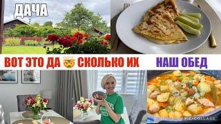 VLOG УЖАС ЧТО ДЕЛАЕТСЯ  / ДАЧА / ТРАВИМ / ПЕРВЫЙ УРОЖАЙ / НАШ ОБЕД  / ПРОСТО И ВКУСНО