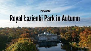 Warsaw's Royal Łazienki Park in Autumn - 4K drone video