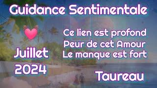 #TAUREAU  SENTIMENTAL  JUILLET 2024 #tarot #oracle #love #horoscope