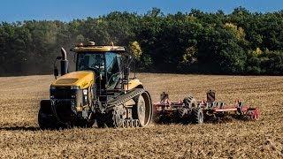 Challenger MT875B + Horsch Terrano 7 FM