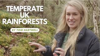 Temperate Rainforests of the UK