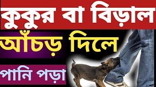 কুকুর,বিড়াল কামড় বা আঁচড় দিলে করনীয় । how to treat a dog and cat bite ।  Amol tv। mufti afzal hossen